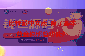 比特派中文版 除了基本的金钱照管功能外