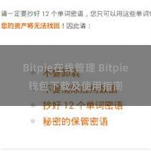 Bitpie在线管理 Bitpie钱包下载及使用指南