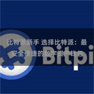 比特派新手 选择比特派：最安全便捷的数字资产钱包