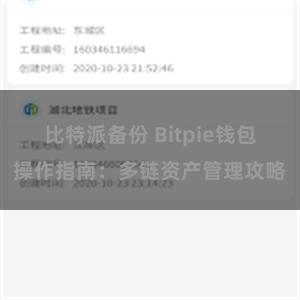 比特派备份 Bitpie钱包操作指南：多链资产管理攻略