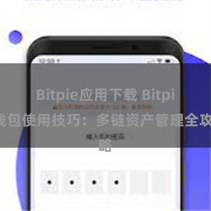 Bitpie应用下载 Bitpie钱包使用技巧：多链资产管理全攻略