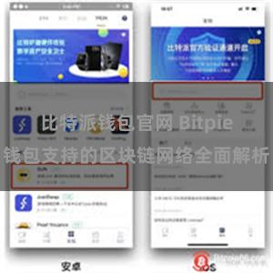 比特派钱包官网 Bitpie钱包支持的区块链网络全面解析