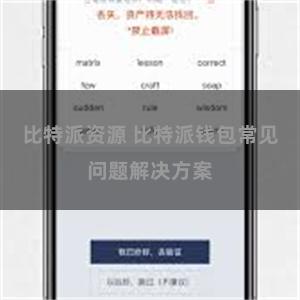 比特派资源 比特派钱包常见问题解决方案