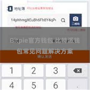 Bitpie官方钱包 比特派钱包常见问题解决方案