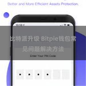 比特派升级 Bitpie钱包常见问题解决方法