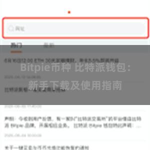 Bitpie币种 比特派钱包：新手下载及使用指南