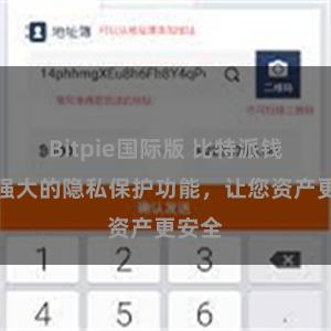 Bitpie国际版 比特派钱包：强大的隐私保护功能，让您资产更安全