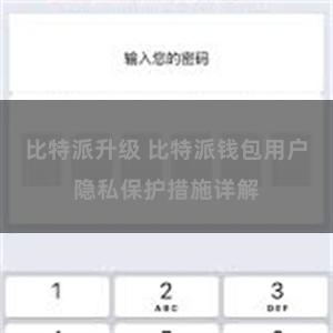 比特派升级 比特派钱包用户隐私保护措施详解