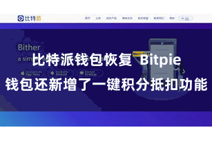 比特派钱包恢复  Bitpie钱包还新增了一键积分抵扣功能