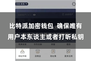 比特派加密钱包 确保唯有用户本东谈主或者打听私钥